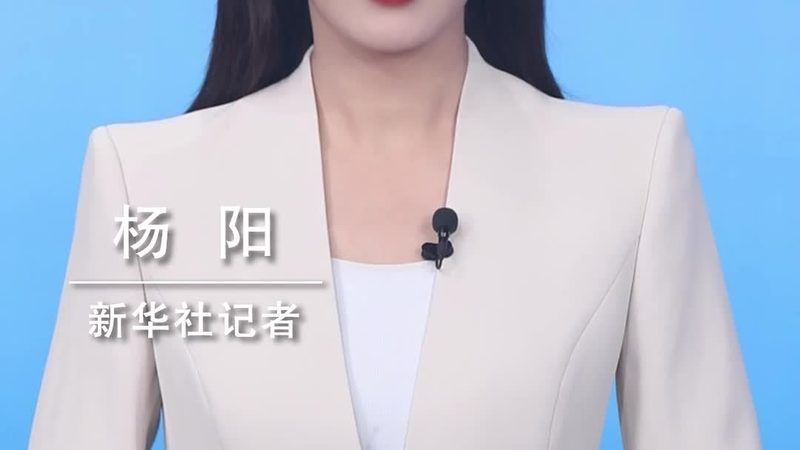 ELT数据管道设计：构建高效数据处理的最佳路径**